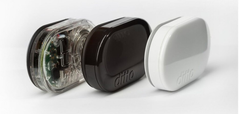 Ditto wearable in 3 colors